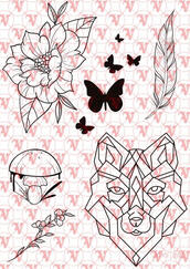 Flash Sheet 6