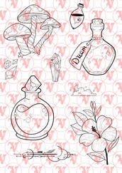 Flash Sheet 5