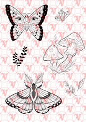 Flash Sheet 1